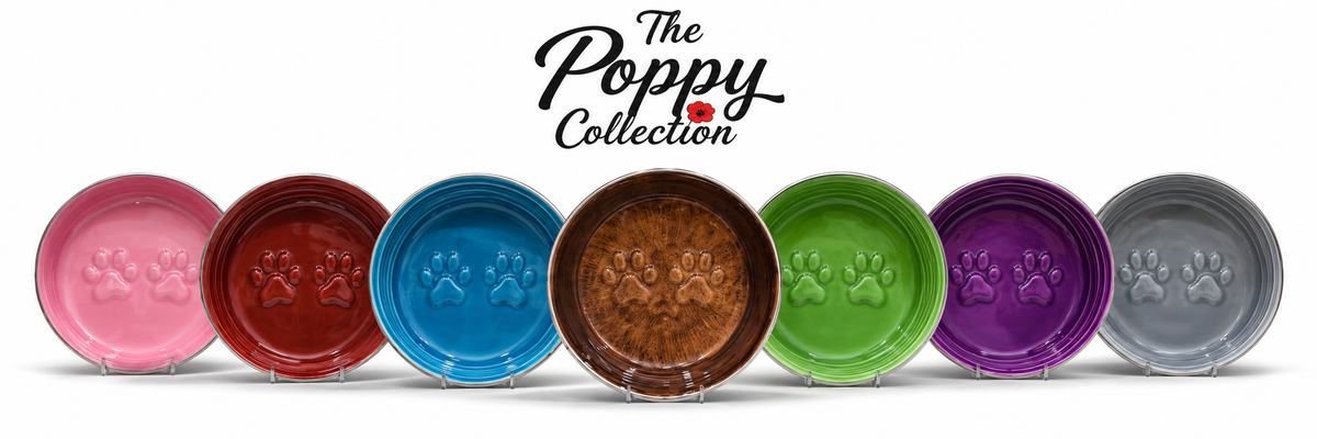 The Poppy Collection Dog Bowl - Green-1