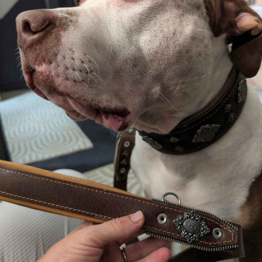 The ''Aztec'' brown leash-1
