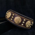 Maximus Hundhalsband - Brun och guld-0